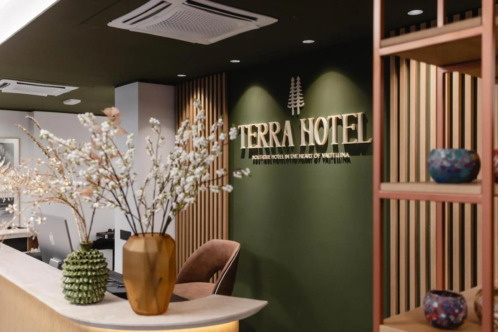 Terra Hotel Boutique contacts